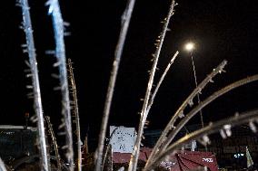 Farmers Protest - Montauban