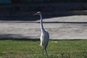 Xochimilco Ecological Park