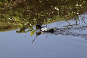 Xochimilco Ecological Park