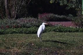 Xochimilco Ecological Park