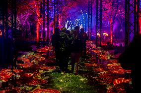 Naturaleza Encendida Light Show - Madrid