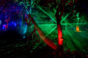 Naturaleza Encendida Light Show - Madrid