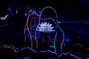 Naturaleza Encendida Light Show - Madrid