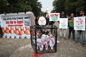 Activists Performance, In Kolkata, India