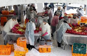 Traditional Kimchi Making - Seoul