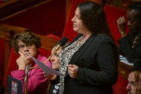 Questions to the government at the National Assembly in Paris FA