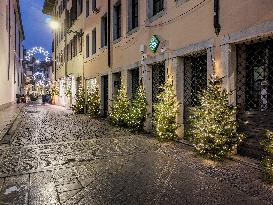 Christmas Illuminated City Of Udine, Italy