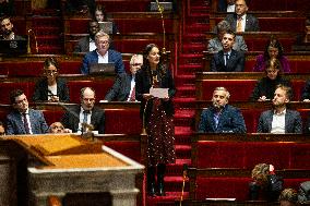 Questions To The French Government At The National Assembly