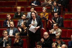 Questions To The French Government At The National Assembly