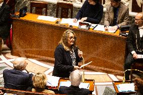 Questions To The French Government At The National Assembly