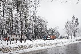 A Winter Storm Brings Chain Control And Delays On Interstate 80 East Near Cisco Grove, Calif., On Tuesday, November 26, 2024.