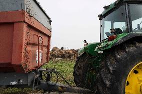 Farmers Protest - Toulouse