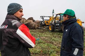 Farmers Protest - Toulouse