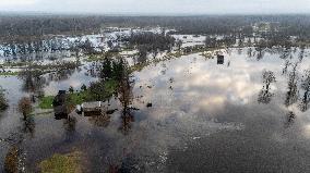 Flood in Soomaa National Park