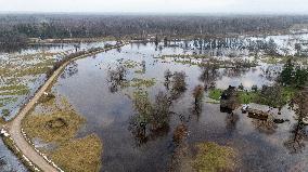 Flood in Soomaa National Park