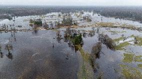 Flood in Soomaa National Park