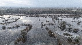 Flood in Soomaa National Park