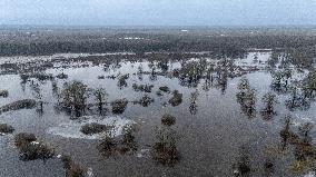 Flood in Soomaa National Park