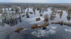 Flood in Soomaa National Park