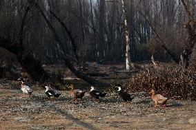 Hygam Wetland Conservation Reserve