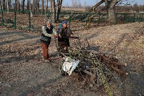 Daily Life In Kashmir