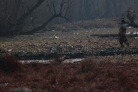 Hygam Wetland Conservation Reserve