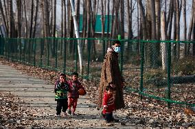 Daily Life In Kashmir