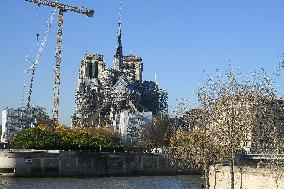 Notre-Dame De Paris Cathedral - Paris