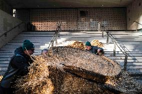 Farmers Protest - Toulouse