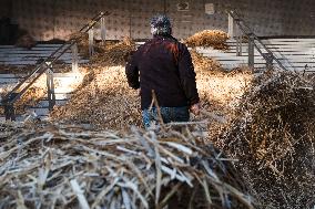 Farmers Protest - Toulouse