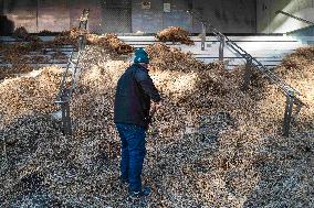 Farmers Protest - Toulouse