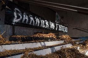 Farmers Protest - Toulouse