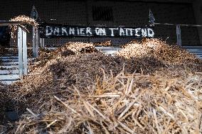 Farmers Protest - Toulouse