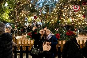 Illumination Of Christmas Tree In Athens