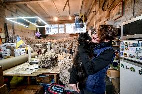 Volunteers weave winter camouflage nets for army in Zaporizhzhia