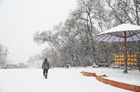 Heavy Snow Hit Jilin