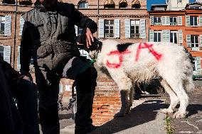 Farmers Protest - Toulouse