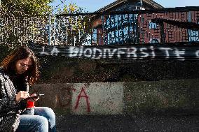 Farmers Protest - Toulouse