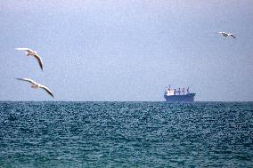 Ukrainian Sea Corridor in Odesa