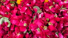 Shopkeepers Display Flowers In Ajmer - India