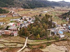 Rural Highway Development in China