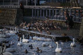 Daily Life In Reykjavík