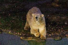 Tallinn Zoo