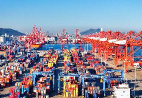 Lianyungang Port Container Terminal Cargo Throughput Growth