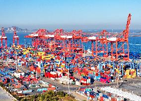 Lianyungang Port Container Terminal Cargo Throughput Growth