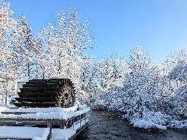 Frosty Weather In Bavaria