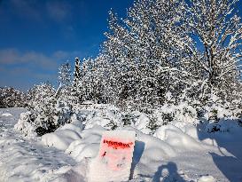 Frosty Weather In Bavaria