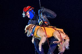 Joint training of Ukrainian and Polish rescuers in Vinnytsia region