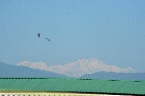 Mount Kangchenjunga Is Seen From Siliguri