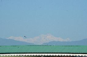 Mount Kangchenjunga Is Seen From Siliguri